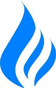 Newton Gas Services flame logo